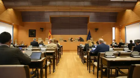 La presidenta de la Comisi&oacute;n de Sanidad, Rosa Mar&iacute;a Romero S&aacute;nchez (c), durante una Comisi&oacute;n de Sanidad y Consumo celebrada en el Congreso de los Diputados, Madrid, (Espa&ntilde;a), a 9 de marzo de 2021.