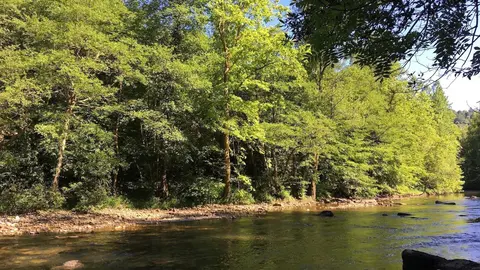 Archivo - R&iacute;o As&oacute;n.- Archivo