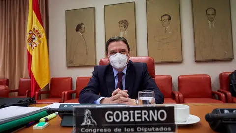 El Ministro de Agricultura, Pesca y Alimentaci&oacute;n, Luis Planas, comparece en la comisi&oacute;n de su departamento en Sala Constitucional del Congreso de los Diputados, en Madrid 