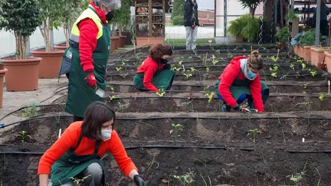 Cursos en Camargo sobre cultivos naturales y ecol&oacute;gicos