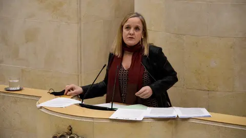 La diputada del PP en el Parlamento de Cantabria Isabel Urrutia