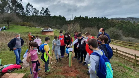 Los alumnos del colegio Dobra plantan &aacute;rboles en la Fuente de las Palomas