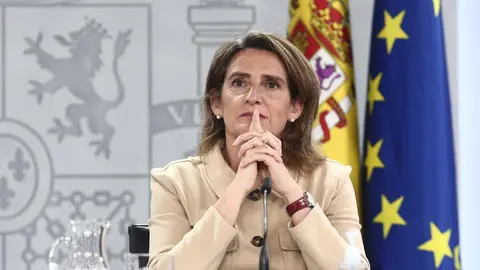 La vicepresidenta cuarta y ministra para la Transici&oacute;n Ecol&oacute;gica y el Reto Demogr&aacute;fico, Teresa Ribera, durante una rueda de prensa posterior al Consejo de Ministros celebrado en Moncloa, a 16 de marzo de 2021. Este encuentro es el primero que se ha celebr