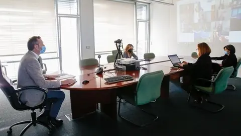 El consejero de Desarrollo Rural, Ganader&iacute;a, Pesca, Alimentaci&oacute;n y Medio Ambiente de Cantabria, Guillermo Blanco, durante el Consejo Consultivo