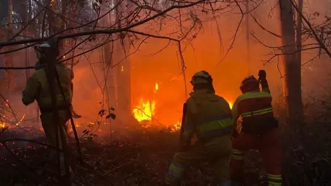 Archivo - Incendio forestal en Cantabria.- Archivo