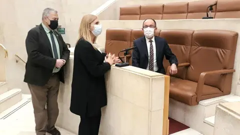 El presidente del Parlamento de Cantabria, Joaqu&iacute;n G&oacute;mez (izda); la portavoz del grupo socialista, Noelia Cobo, y el abogado y pol&iacute;tico socialista Juan Andr&eacute;s Perell&oacute;