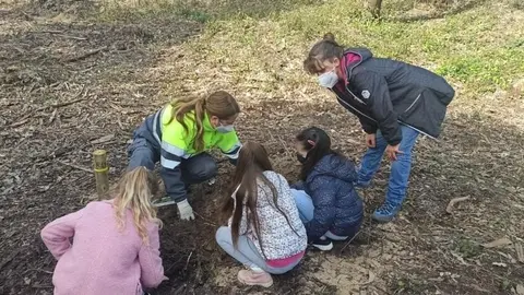 Alumnos del Colegio Palacio de Noja plantan &aacute;rboles