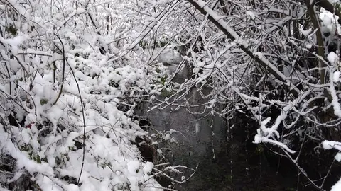 Nieve en Euskadi (archivo)