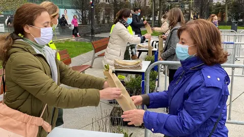 Reparto de &aacute;rboles