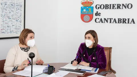 La Consejera De Presidencia, Interior, Justicia Y Acci&oacute;n Exterior, Paula Fern&aacute;ndez Via&ntilde;a, Participa En La Reuni&oacute;n De La Comisi&oacute;n NAT Del Comit&eacute; De Las Regiones De Europa.