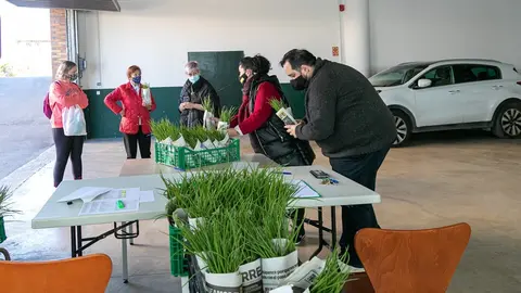 La alcaldesa de Polanco, Rosa D&iacute;az, y los concejales, durante el reparto de plantas de cebolla