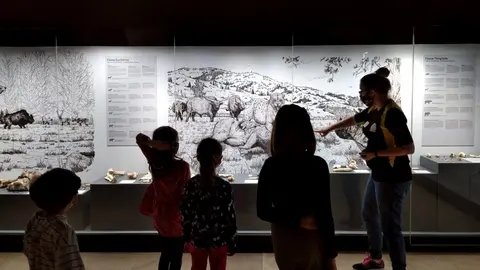 Archivo - Talleres infantiles MUPAC