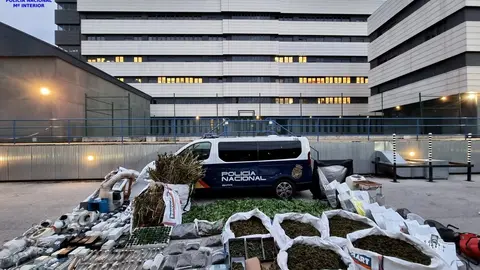 La marihuana y otros efectos intervenidos en la operaci&oacute;n 'Geranio'
