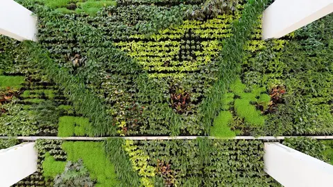 Archivo - Jard&iacute;n vertical del centro c&iacute;vico Tabacalera