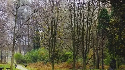 Archivo - Parque de La Viesca