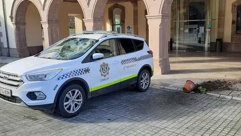 WhatsApp Image 2021-03-29 at 17.52.47