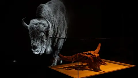 Montaje 'Kiputz' en el Museo de Altamira