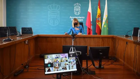 Pleno del Ayuntamiento