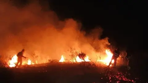 Archivo - Incendio forestal