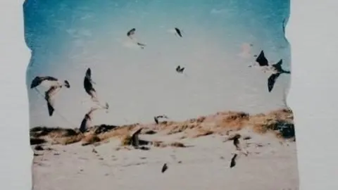 Cuadro sobre playa Coto Do&ntilde;ana en una exposici&oacute;n en Comillas