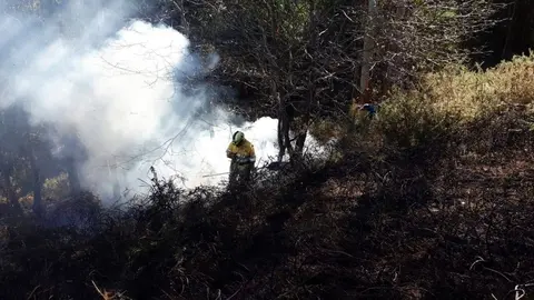 Archivo - Extinci&oacute;n de incendio por miembros del operativo de Medio Natural