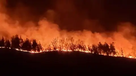 168130105_10159393401290663_1616871266411316785_n