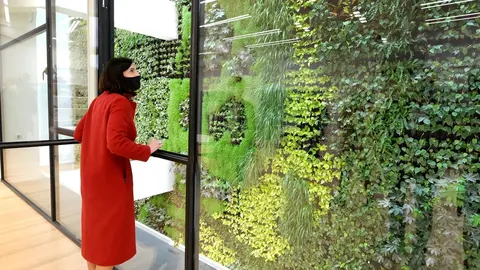 Jard&iacute;n vertical en centro c&iacute;vico Tabacalera de Santander