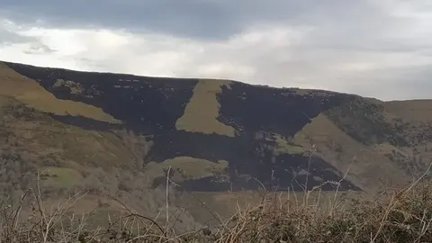 Zona quemada en Cantabria