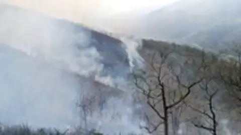 Incendio forestal en Cantabria. Archivo