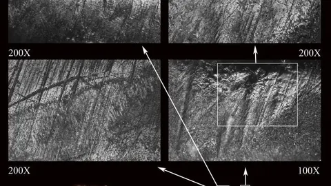 Fragmento de Mytilus galloprovincialis (abajo) y detalle de los rastros de uso-desgaste (arriba) Interpretados como generados por para alisar y / o pulir madera dura.