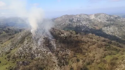 Incendio Forestal en Cantabria. Archivo