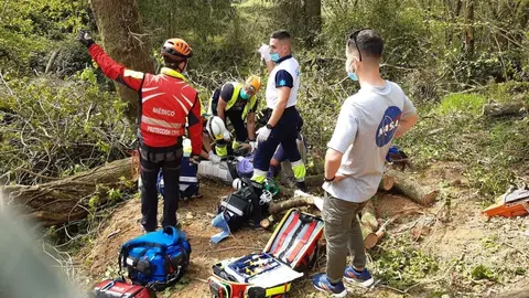 Rescate del herido al caerle un &aacute;rbol en Bareyo
