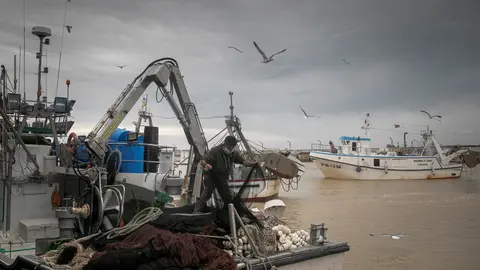 Archivo - Llegada de un barco pesquero a  la lonja de la Cofrad&iacute;a de Pescadores de Sanl&uacute;car de Barrameda 