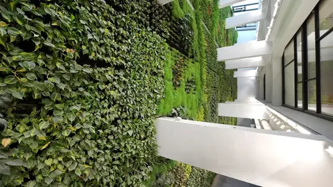 Archivo - Jard&iacute;n vertical de Tabacalera