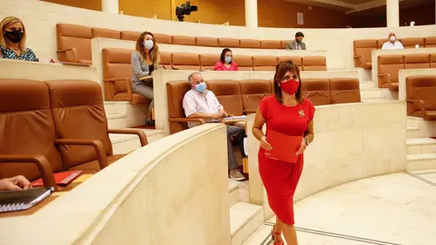 Archivo - La consejera de Empleo y Pol&iacute;ticas Sociales, Ana Bel&eacute;n &Aacute;lvarez, en el Parlamento