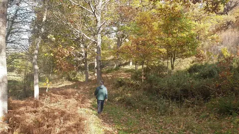 Sendero en Cantabria