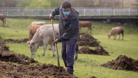 Ganadero extiende esti&eacute;rcol en la finca donde pastan sus vacas del barrio de A Tolda, en Lugo, Galicia (Espa&ntilde;a) 