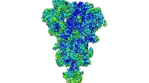Archivo - Reconstrucci&oacute;n en 3D de la prote&iacute;na spike del SARS-CoV-2