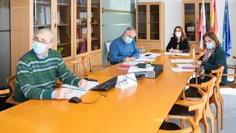 La consejera de Empleo y Pol&iacute;ticas Sociales, Ana Bel&eacute;n &Aacute;lvarez, y miembros de su equipo participan en la sesi&oacute;n telem&aacute;tica del Consejo Asesor de Servicios Sociales