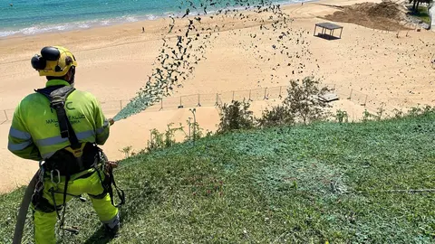 Hidrosiembra en el talud de Reina Victoria
