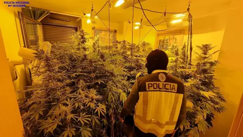 Una de las habitaciones del piso donde se plantaba marihuana