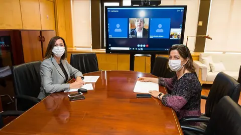 La consejera de Econom&iacute;a y Hacienda, Mar&iacute;a S&aacute;nchez, se re&uacute;ne, de forma telem&aacute;tica, con el presidente de la Federaci&oacute;n C&aacute;ntabra de Municipios, Pablo Diestro