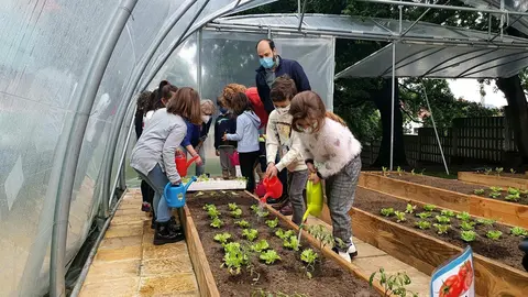 Huerto ecol&oacute;gico en el colegio Pintor Escudero Espronceda