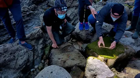 'Safari Mareal Nocturno En Tagle'