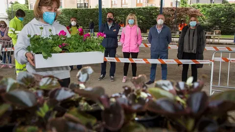 Reparto de flores y plantas arom&aacute;ticas