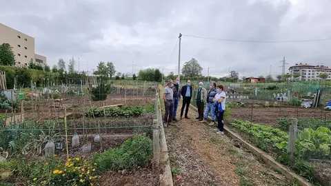 Huertos sostenibles de Torrelavega