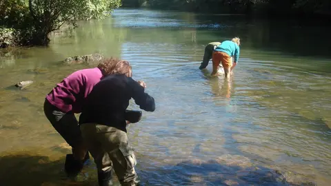Archivo - Diagn&oacute;stico Del Estado De Los R&iacute;os.- Archivo