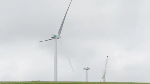 Archivo - Parque e&oacute;lico