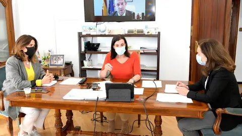 La alcaldesa, Gema Igual, en la jornada telem&aacute;tica