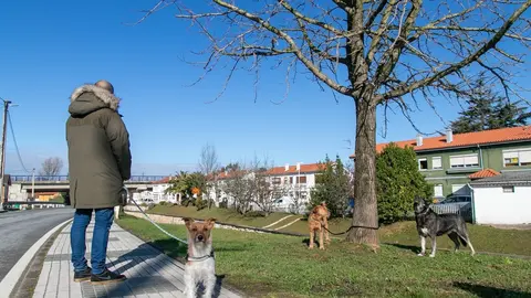 Archivo - Un vecino pasea con su perro